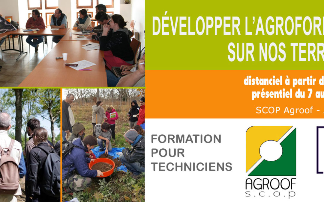 Formation technicien, conseillers agroforestiers