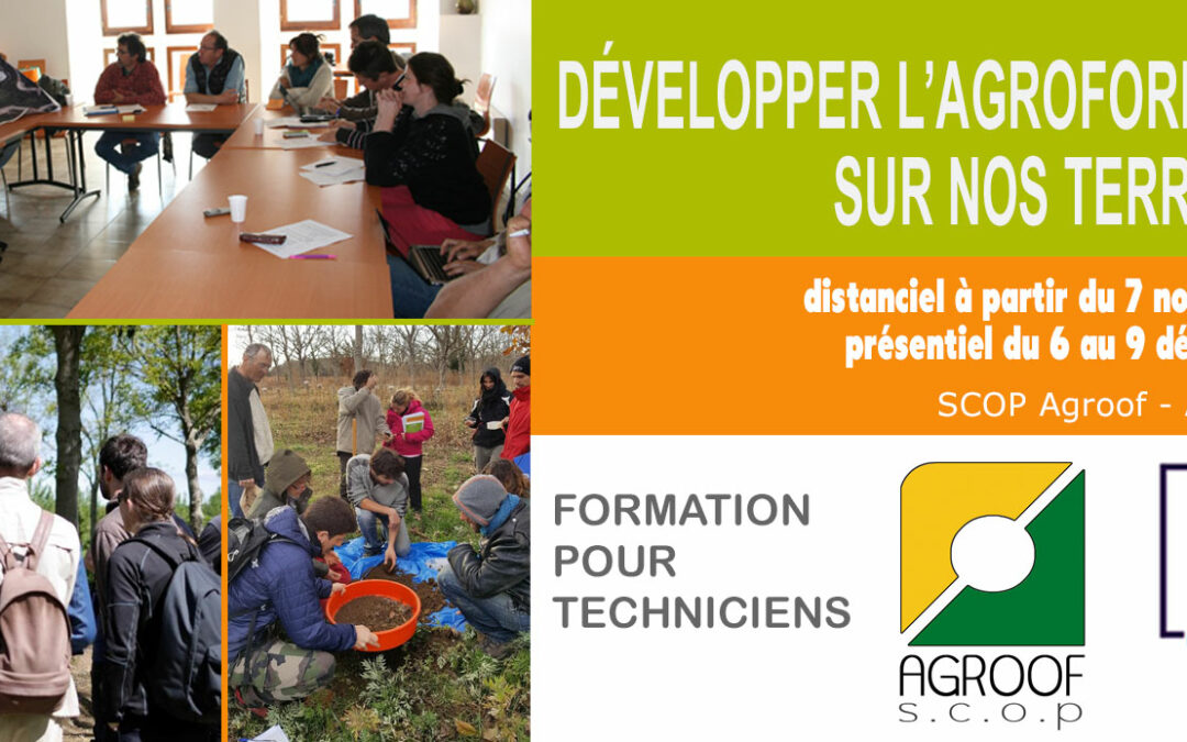 Formation technicien, conseillers agroforestiers