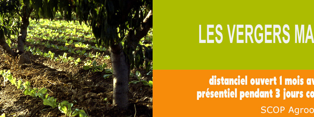 Produire en verger maraîcher