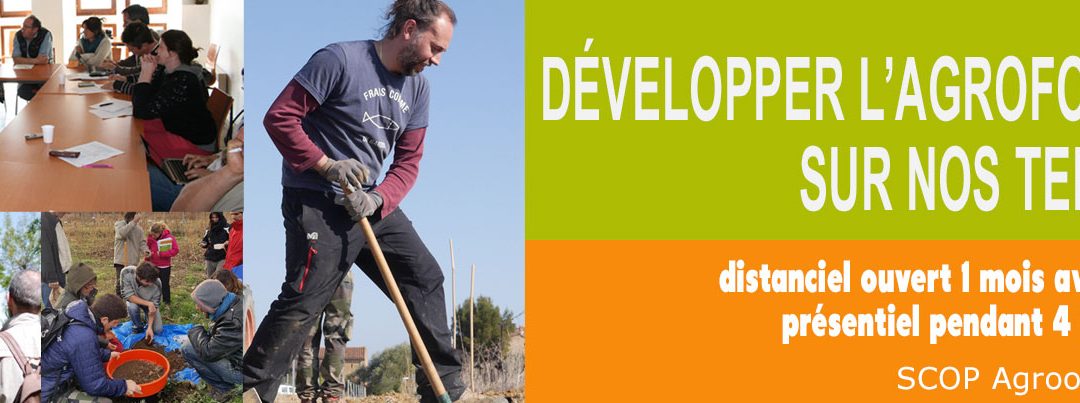 Formation Conseillers agroforestiers