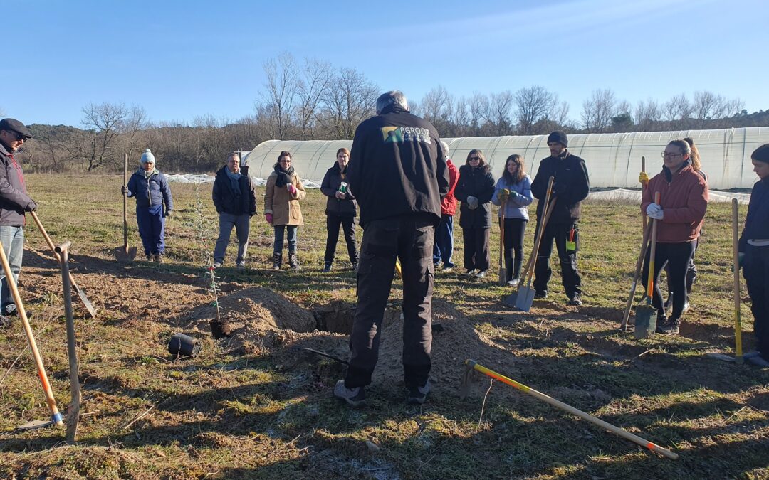 Monter son projet en agroforesterie
