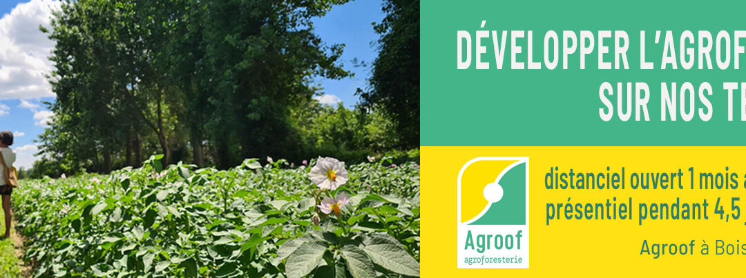 Formation Conseillers agroforestiers